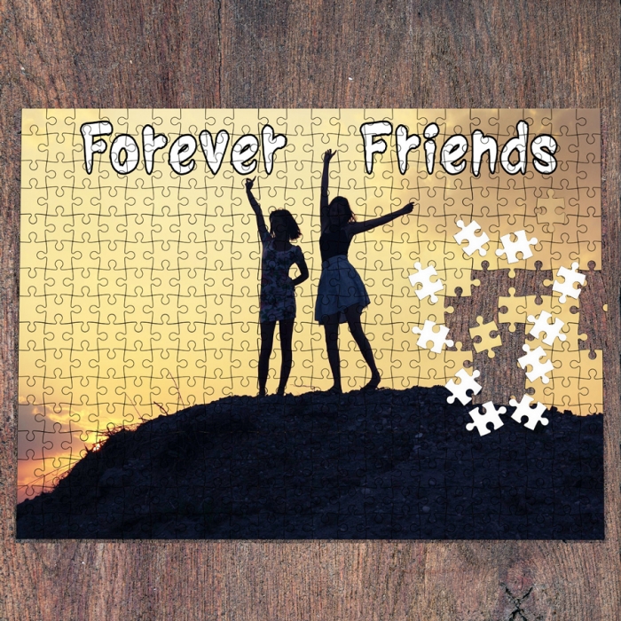 Forever Friends (girls) | Secret Puzzle in Standard Cube Box | 300 Pieces